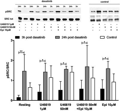 Calcium-Dependent Src Phosphorylation and <mark class="highlighted">Reactive Oxygen Species Generation</mark> Are Implicated in the Activation of Human Platelet Induced by Thromboxane A2 Analogs